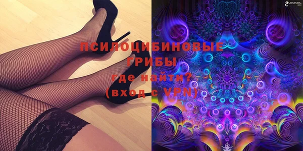 дмт Пересвет