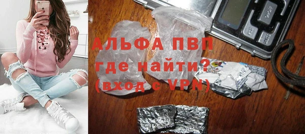 дмт Пересвет