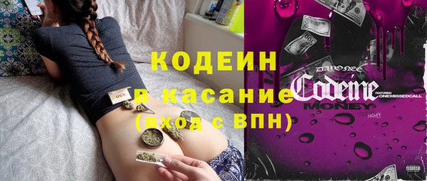 дмт Пересвет