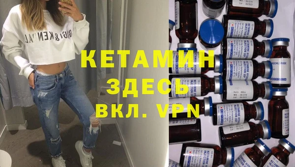 дмт Пересвет