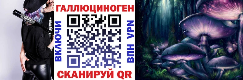 площадка состав Щёлкино Галлюциногенные грибы Psilocybe