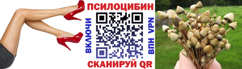 Галлюциногенные грибы Psilocybine cubensis Щёлкино